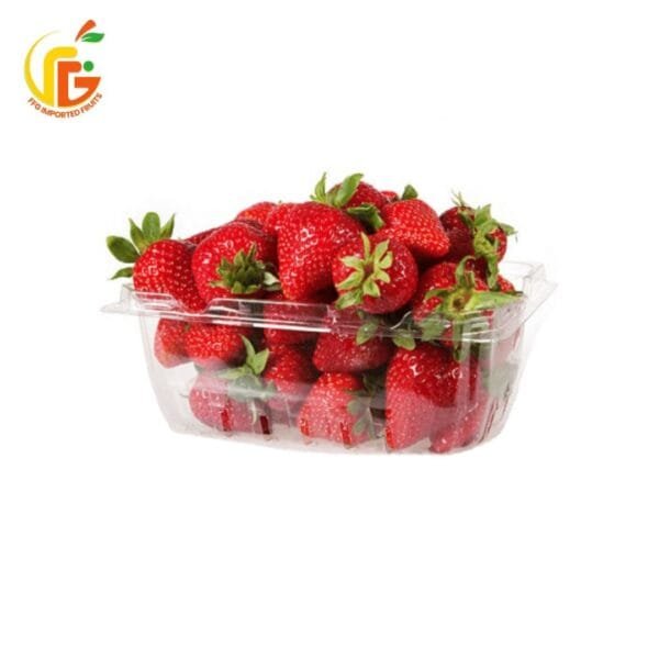 FFG Fresh Strawberry