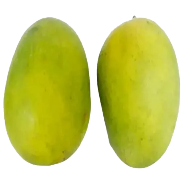 FFG Langra Mango