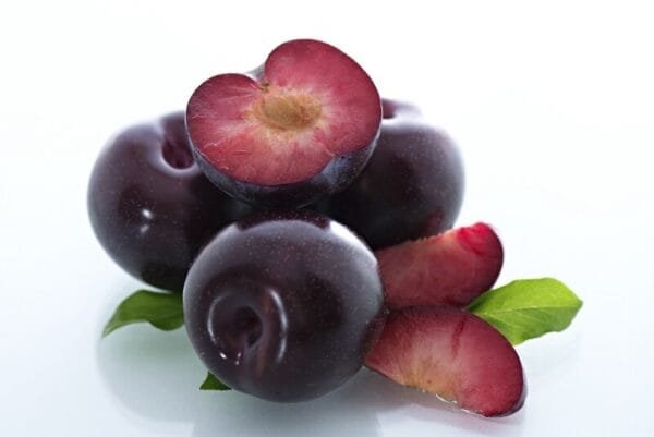 Imported South Africa Plum