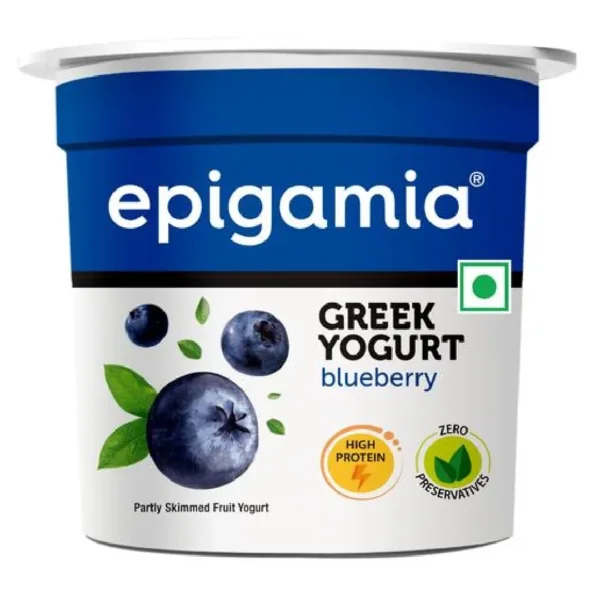 Epigamia Blueberry 85 GM