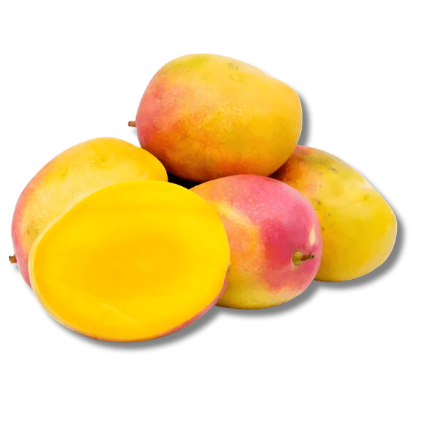 Sundari Mango